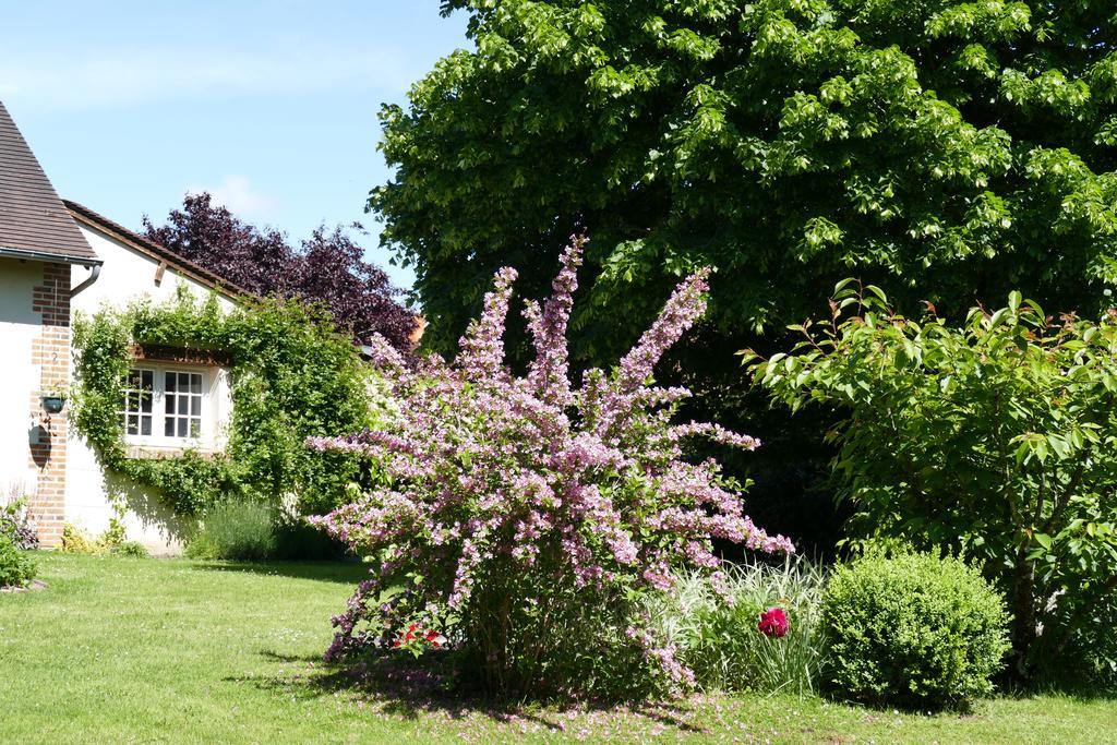 Le Clos Des Perraudieres Cour-Cheverny Exterior photo